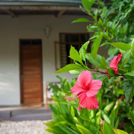 Kendwa Breeze Bungalows Exterior foto